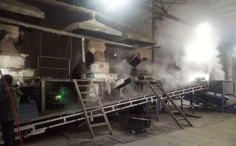 陜西4-6噸稻殼顆粒生產(chǎn)線